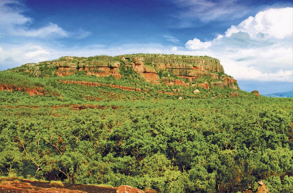 Darwin Land Tour Darwin Land Tour