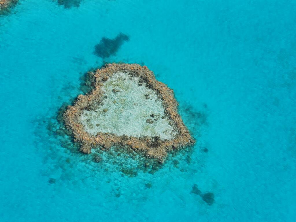 Heart Reef & Qualia Luxury