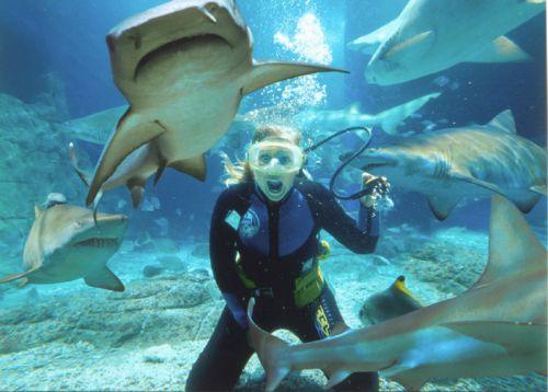 Sunshine Coast Attractions | Things to See on the Sunshine Coast