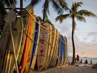 Hawaii - Waikiki Beach Surfboards - Cruise