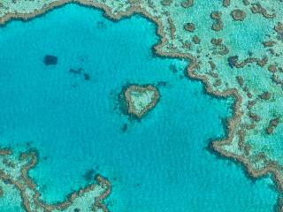 Heart Reef