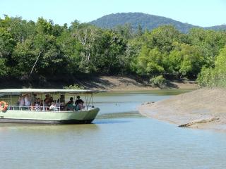 Crocodile Watching Tour