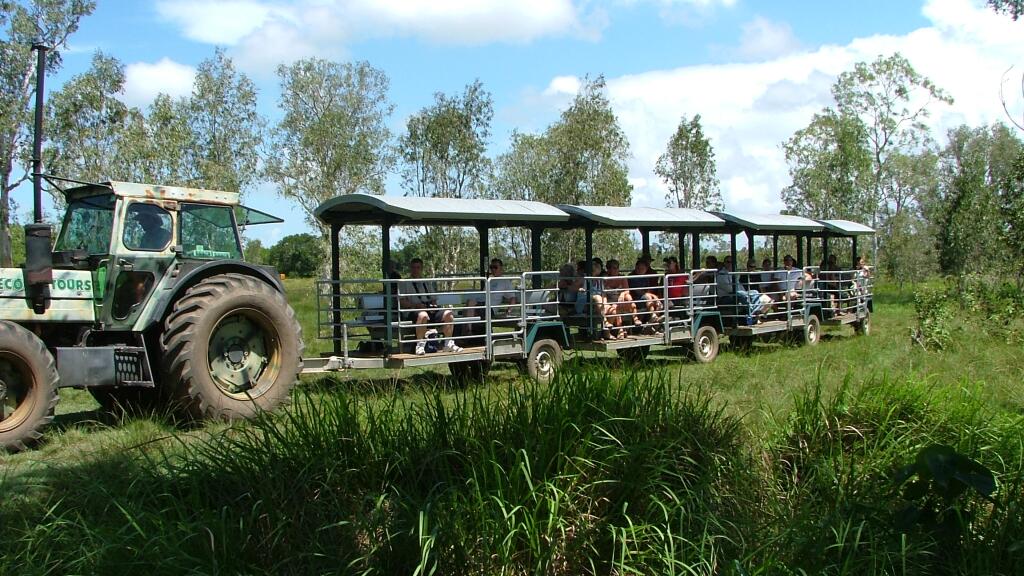 Wildlife Safari Wagons