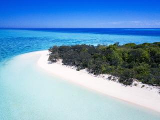 Heron Island