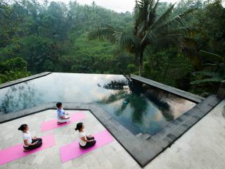Yoga & Meditation program