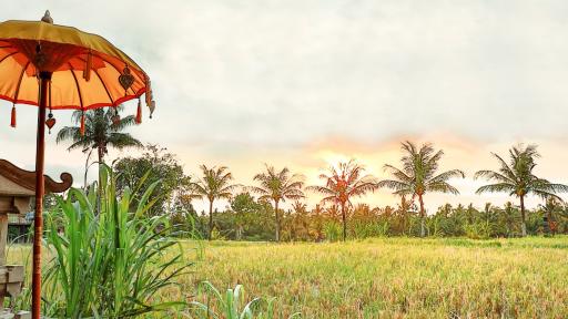 Temple & Rice Field