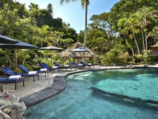 Swimming Pool - Deck Chairs