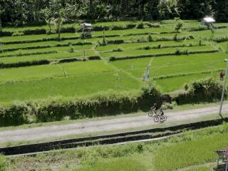 Cycling Tour