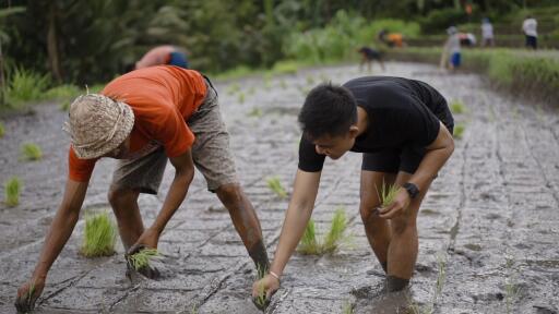 Farming Tour
