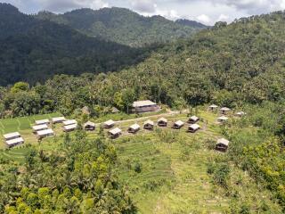 Kaura Bali  - Area