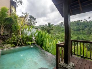 Jungle Pool Villa