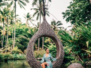 Bird Nest Seat