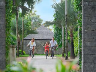 Beach Access Bicycle