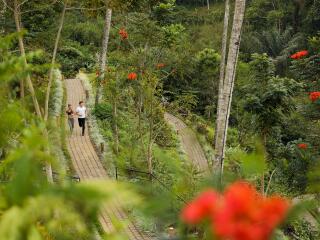 Jogging Track