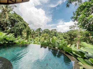 Courtyard Pool Villa