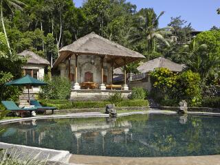 Ayung Healing Villa - Outside