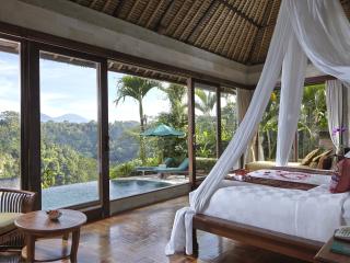 Deluxe Pool Villa - View