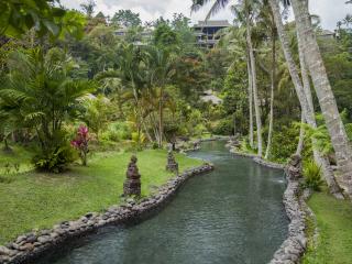 Lagoon Pool