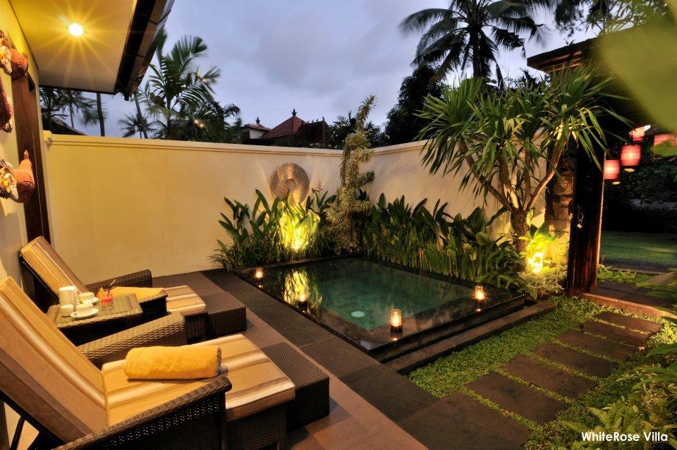 White Rose Hotel Accommodation Bali White Rose Hotel Accommodation Bali