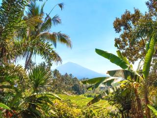 Bali - Generic - Mount Batukaru