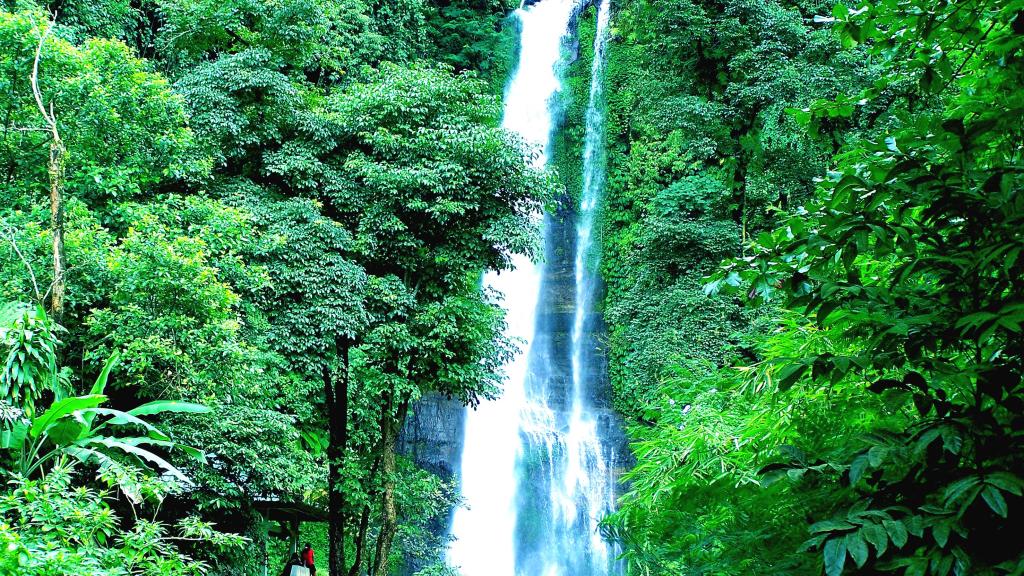 Gitgit Waterfall