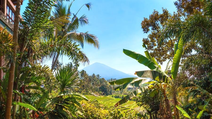 Bali - Generic - Mount Batukaru