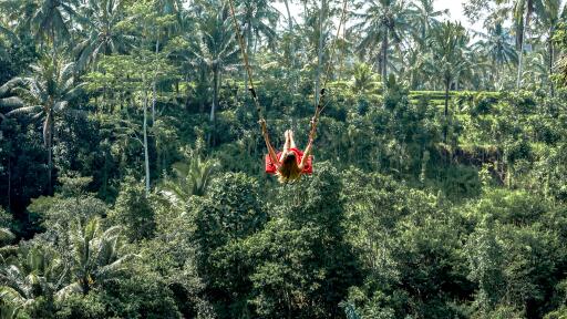 Ubud Highlights Day Tour (swing option)