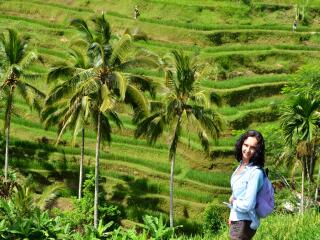 Tegalalang Rice Terrace