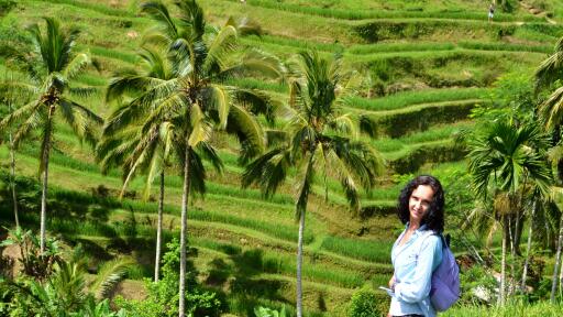 Ubud Town & Rice Terrace Tour