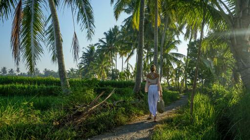 Ubud Town & Rice Terrace Tour