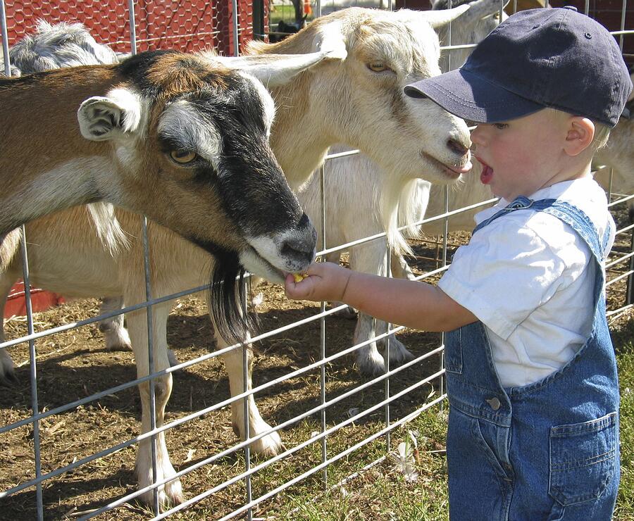 Agriculture