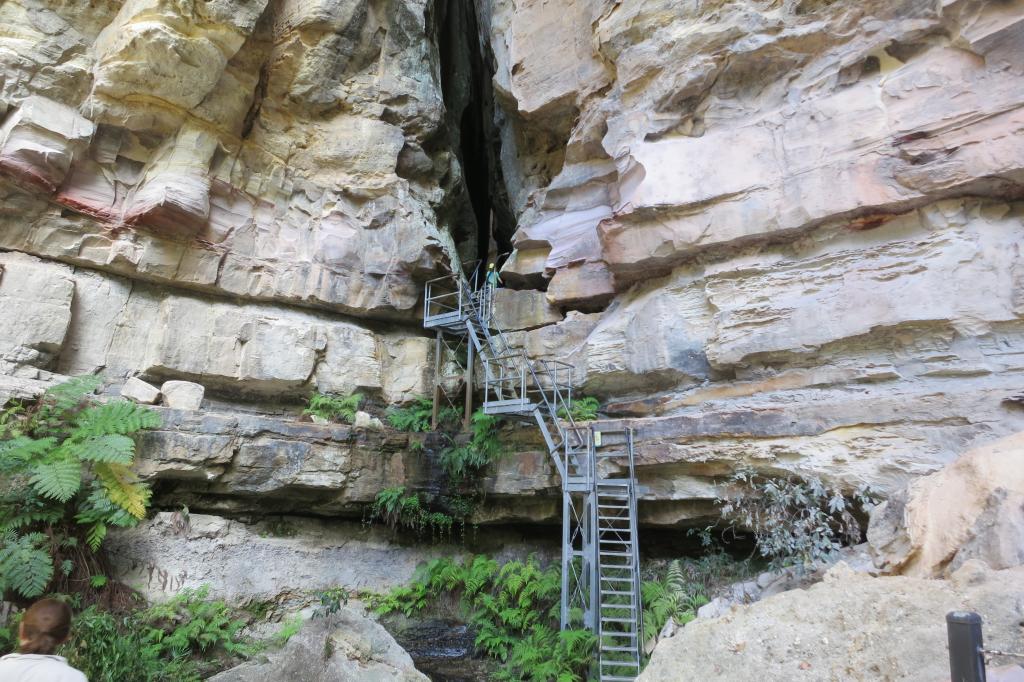 Carnarvon Gorge Wil   derness Lodge Accommodation