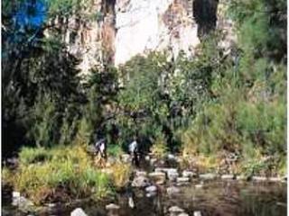 Carnarvon Gorge