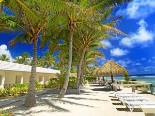 Beach Chairs