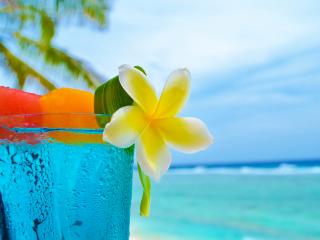 Cocktails at Pool Bar
