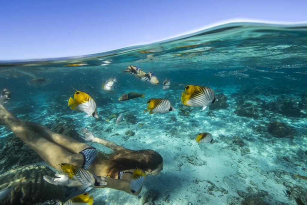 Muri Beach Resort Cook Islands Accommodation Beach Underwater Bedroom