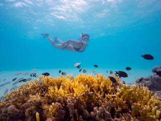 Snorkelling