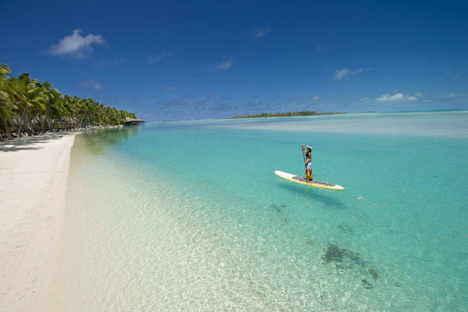 Stand Up Paddle Board