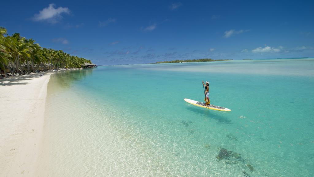 Stand Up Paddle Board