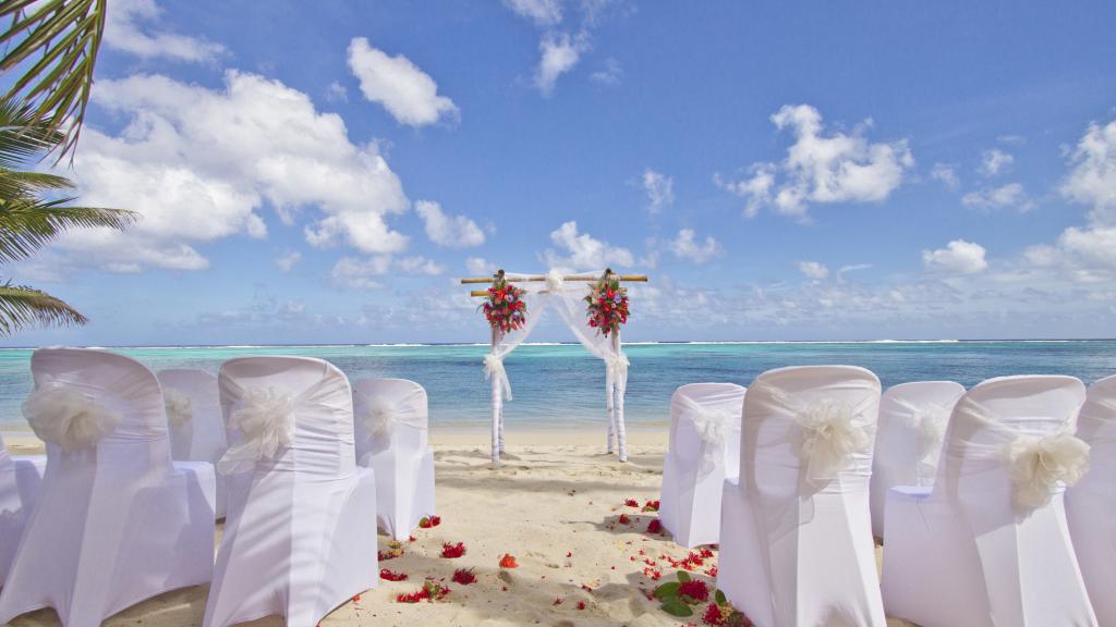 Wedding Setup