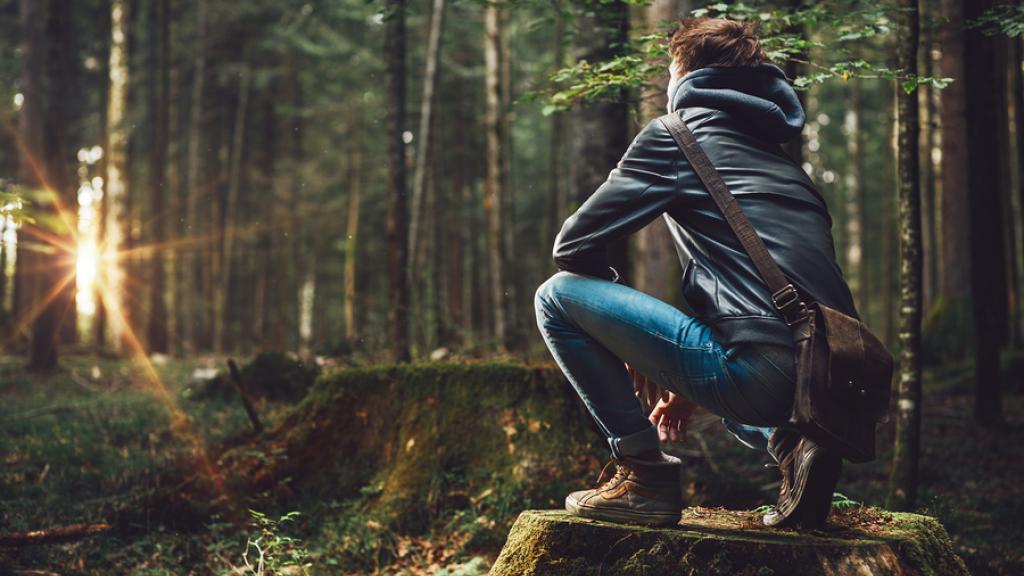 Blog - Generic - Forest