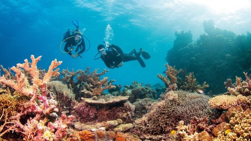 Diving