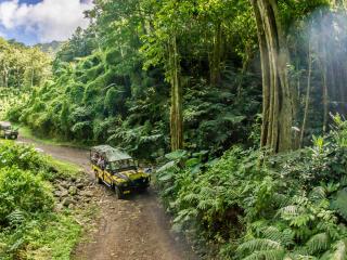 Raro Safari 4WD Inland Tour