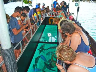 Glass Bottom Cruise