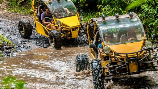 Mud Buggy Tour