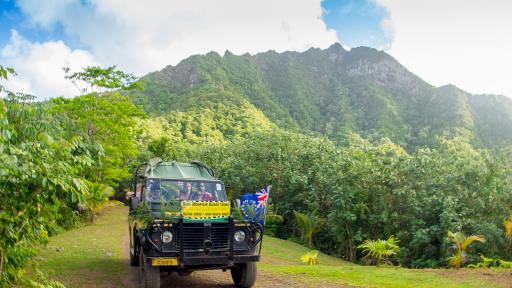 Raro Safari 4WD Inland Tour