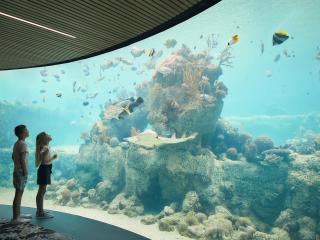 Underwater Observatory