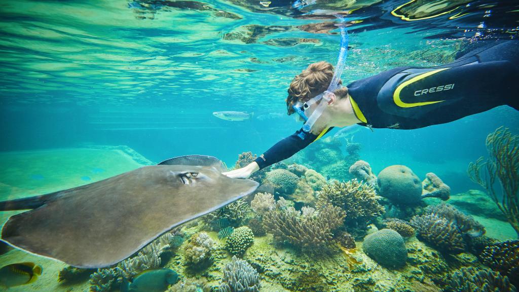 Living Reef