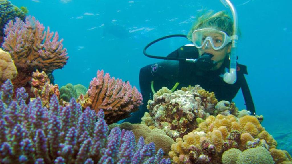 Diving