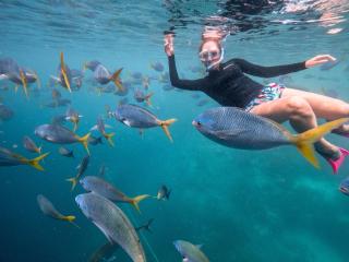 The Great Barrier Reef